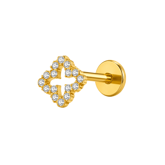 Piercing Chic